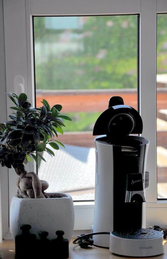 Gemuetliche Dachwohnung Mit Kleiner Oder Grosser Dachterrasse Nebeneinander Вольмирштедт Экстерьер фото